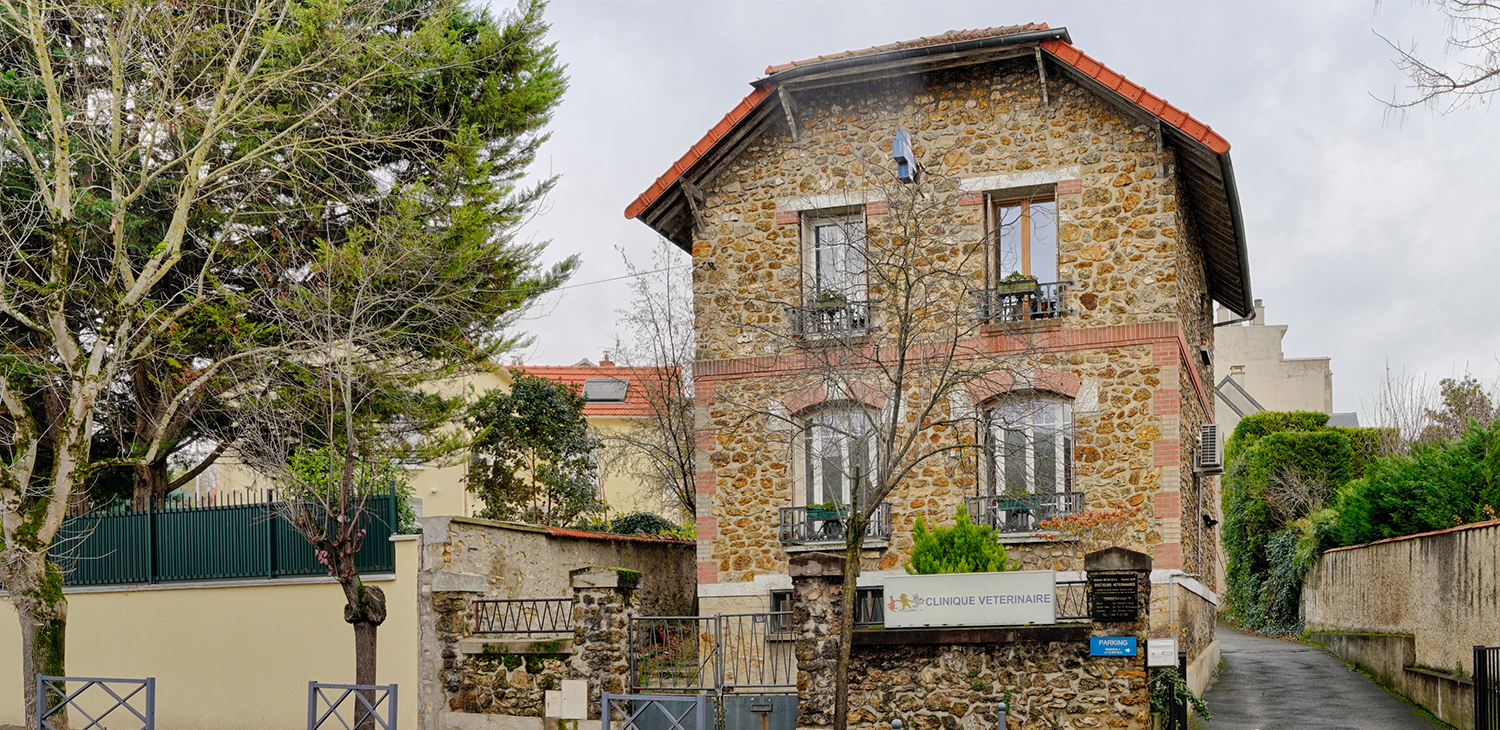 trame image mise en avant