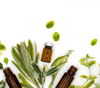 phytothérapie monveto