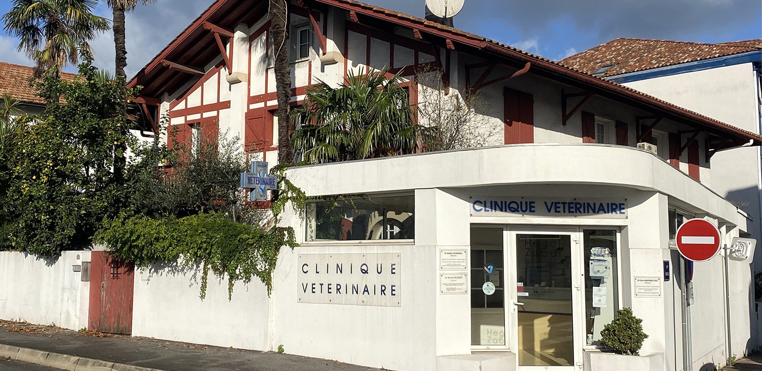 trame image mise en avant