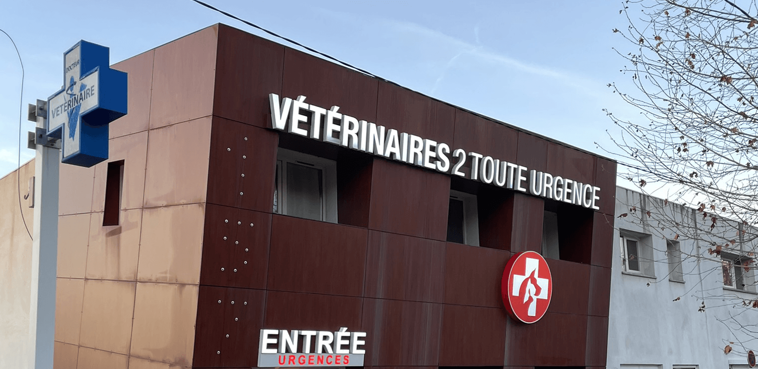 trame clinique header