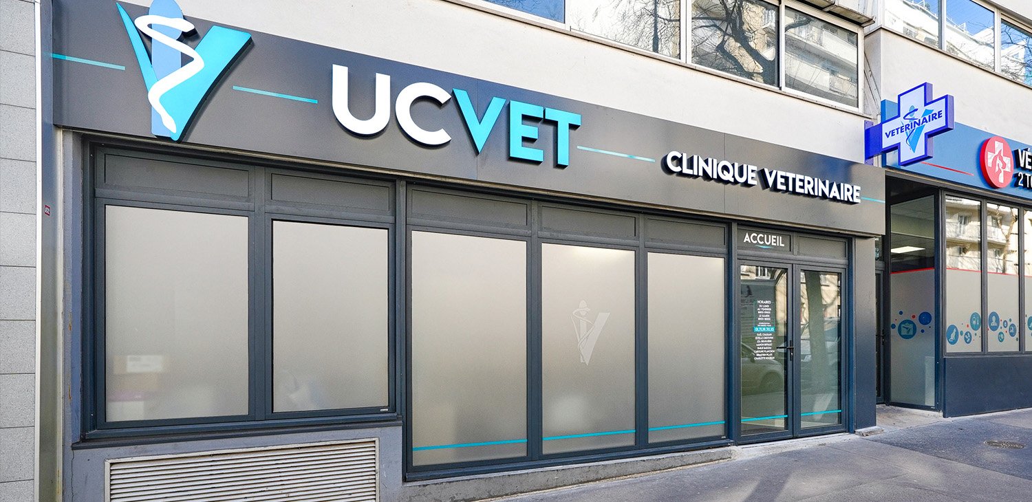 trame clinique header