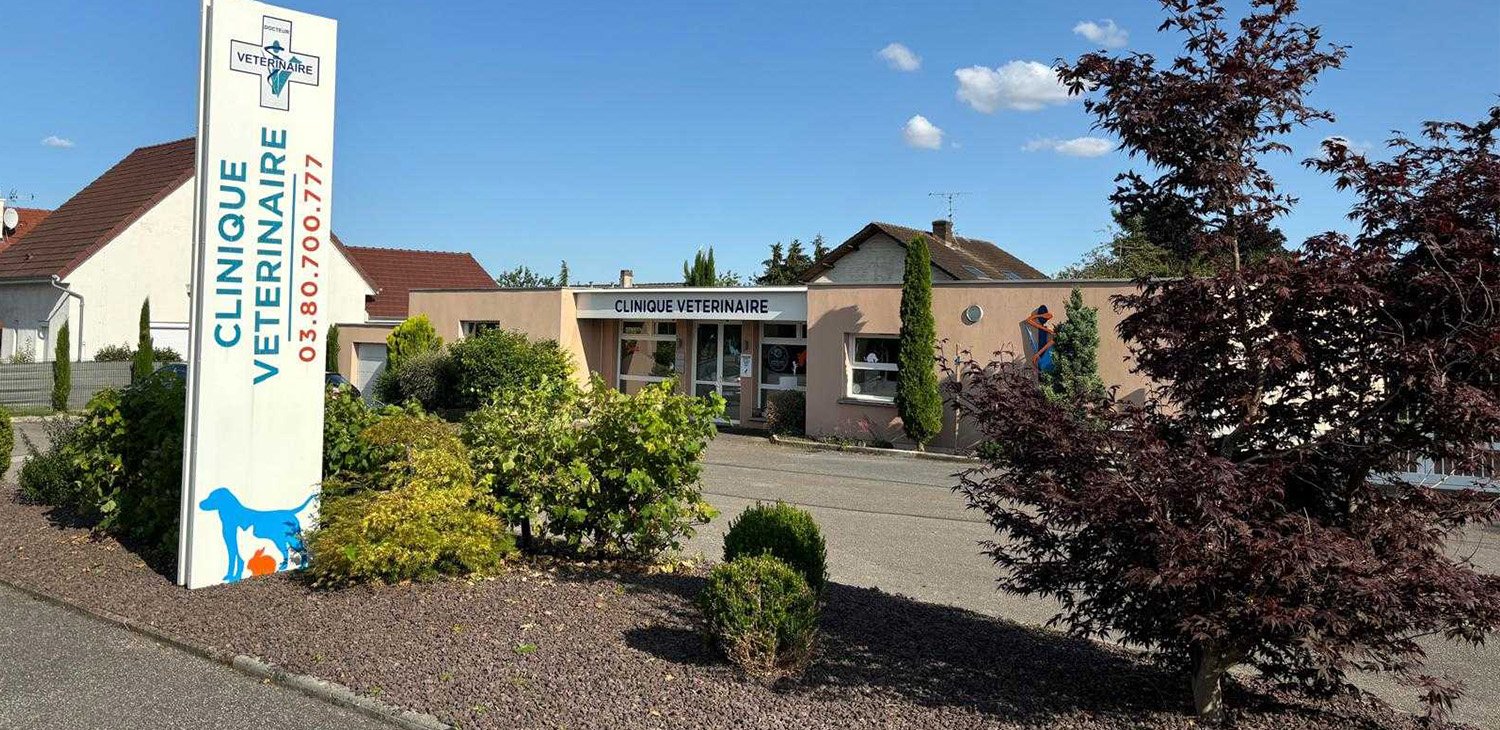 trame clinique header