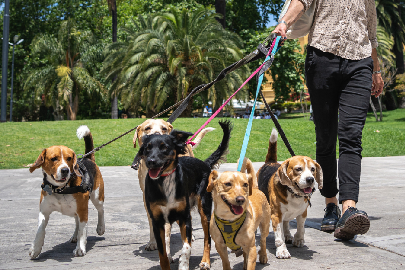 visuel modes de garde texte