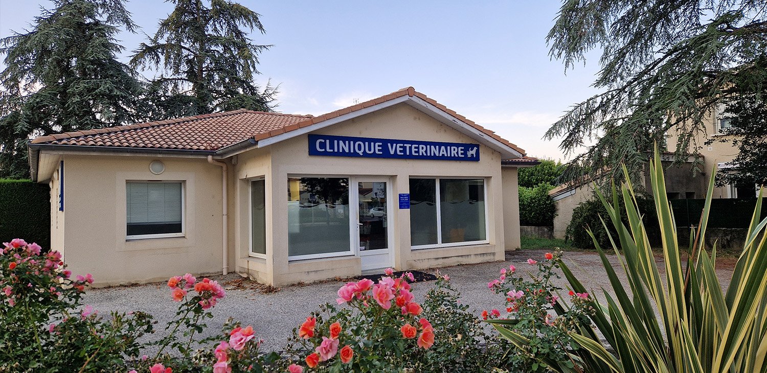 trame clinique header