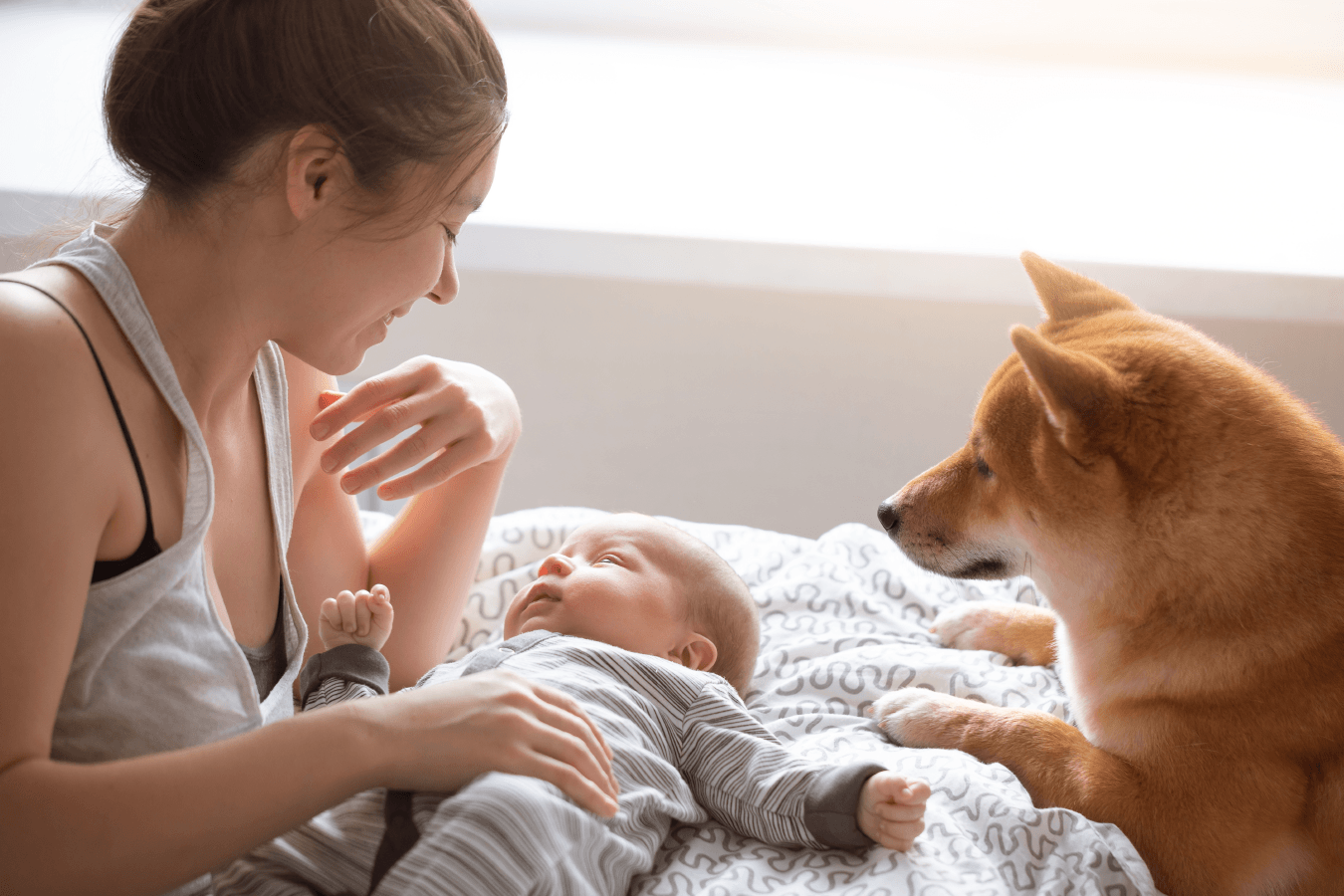 visuel cohabitation de son animal avec un nouveau né 02