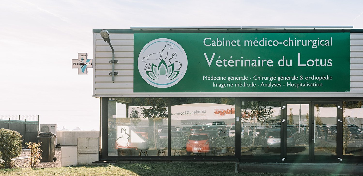 trame clinique header