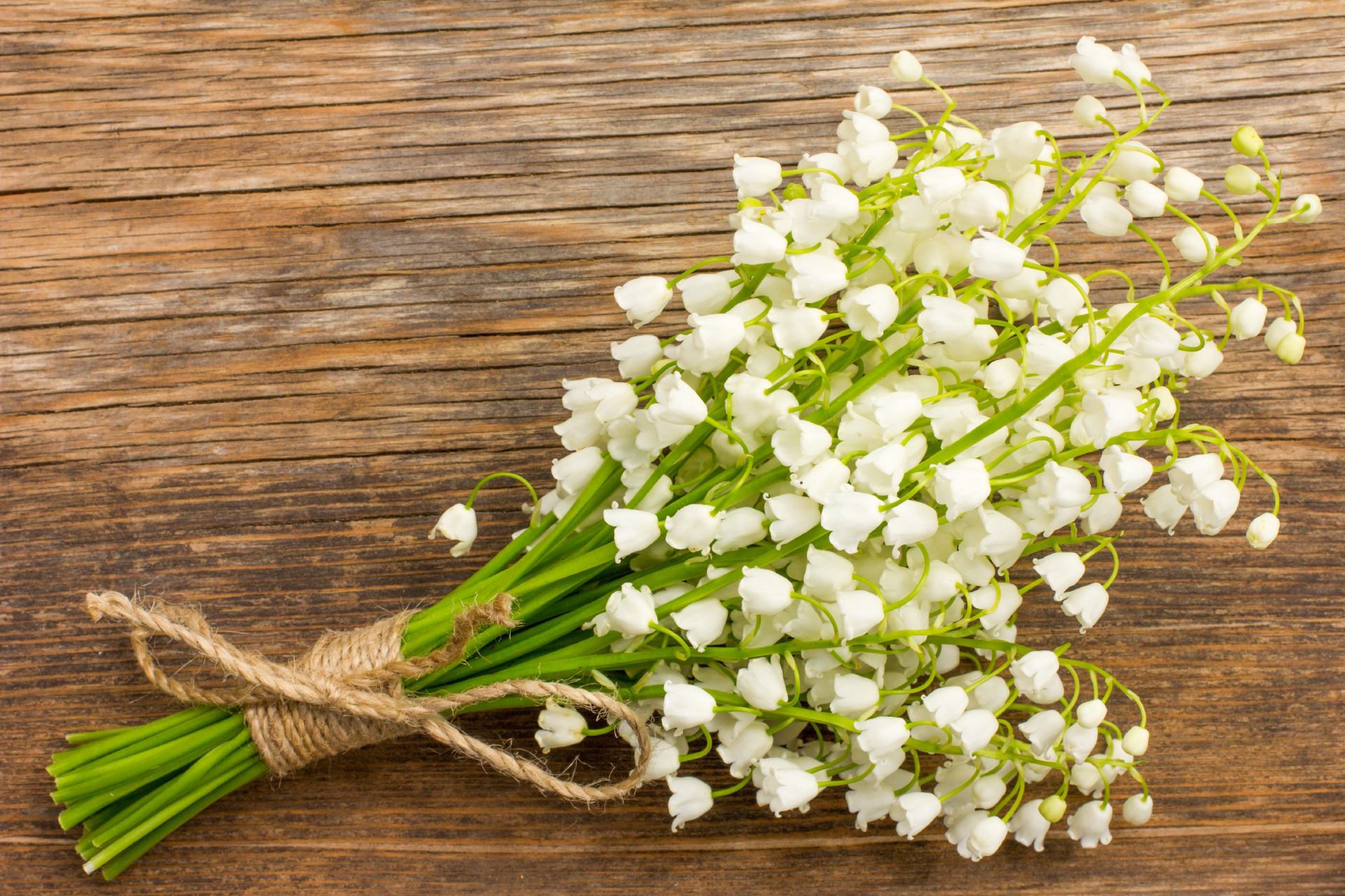 visuel 4 article les risques au printemps