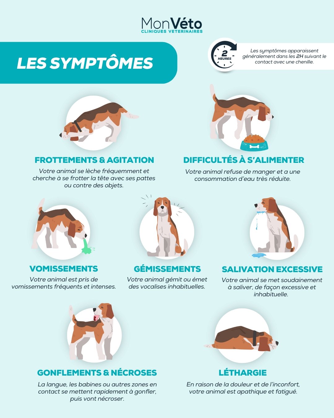 pourquoi sont elles dangereuses pour les animaux