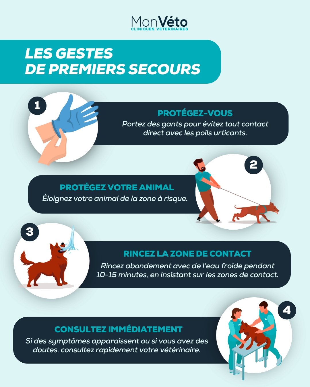 que faire en cas de contact avec les chenilles processionnaires