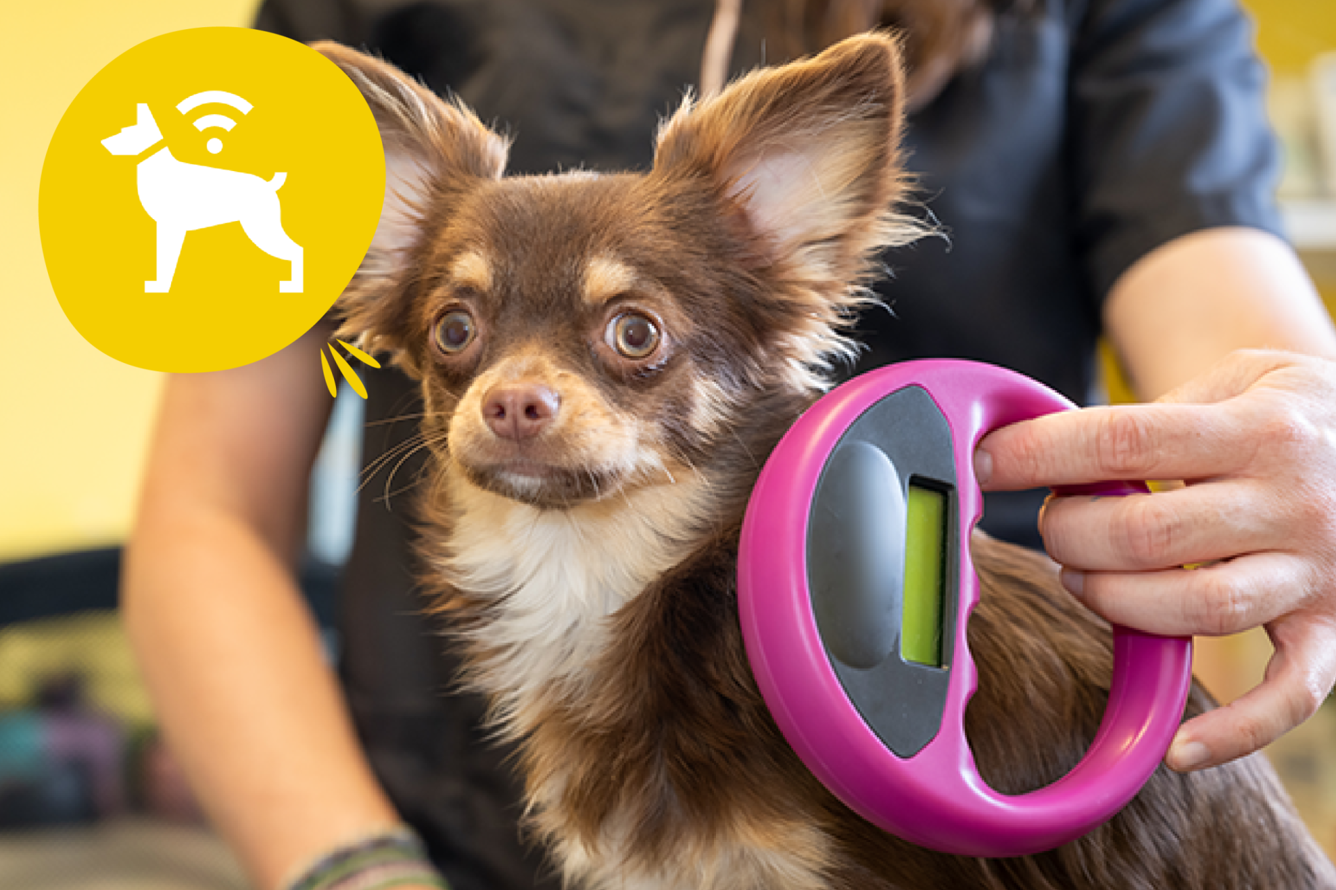 visuel 1 article identification