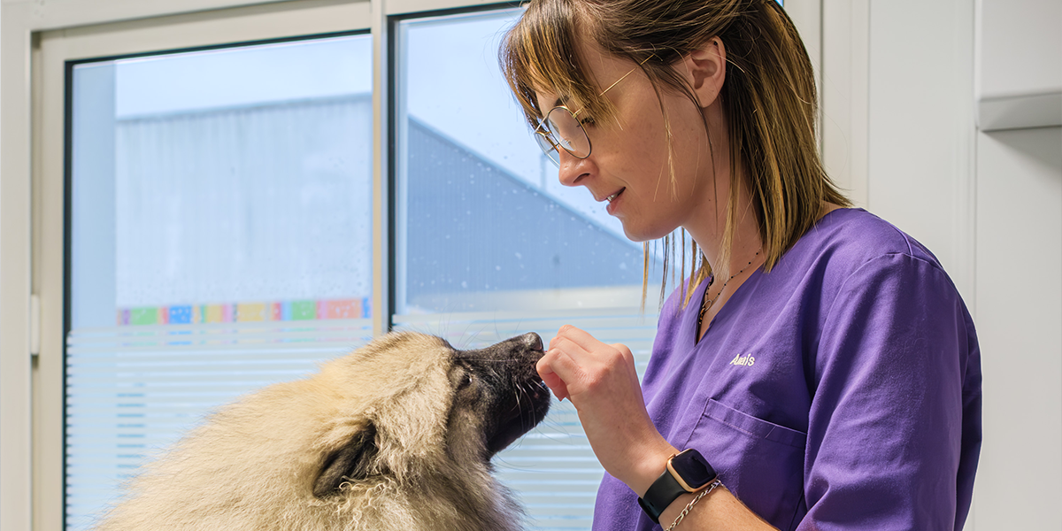 travailler chez mon véto
