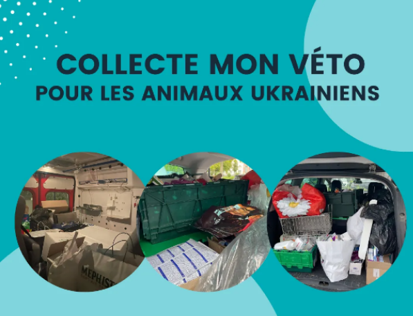 ACTUALITES-COLLECTE-SOLIDAIRE-UKRAINE-une